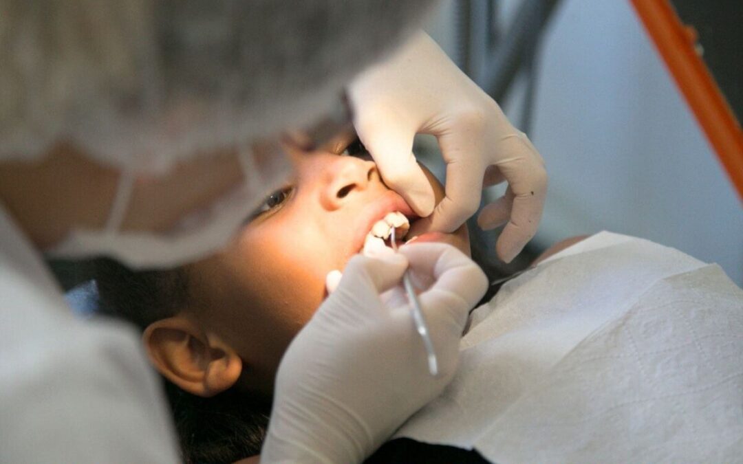 Odontologia